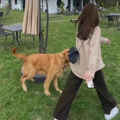 猫狗大战3：爪爪集结！